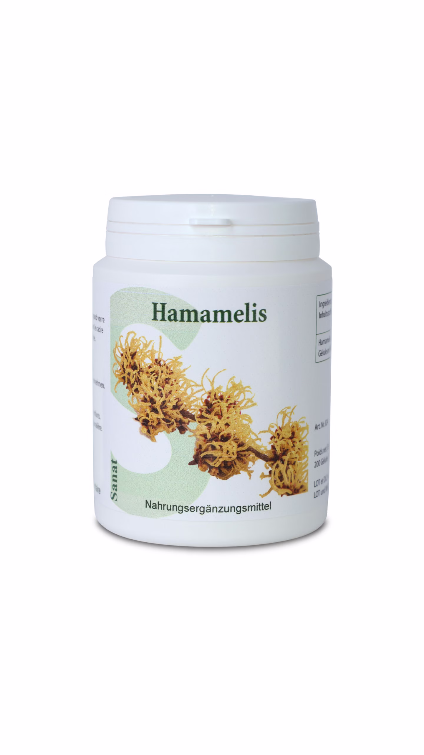 Hamamelis