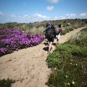 Yoga & Wandern auf der Rota Vicentina 14.04. bis 21.04.2026
