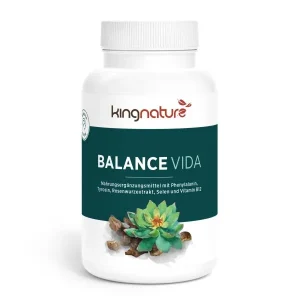 Balance Vida