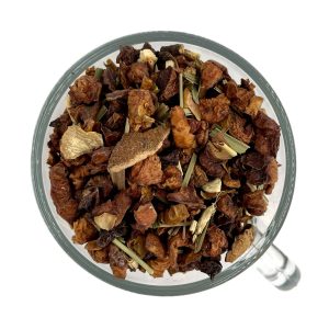 Früchtetee BIO „Sanfter Orangen-Ingwer“
