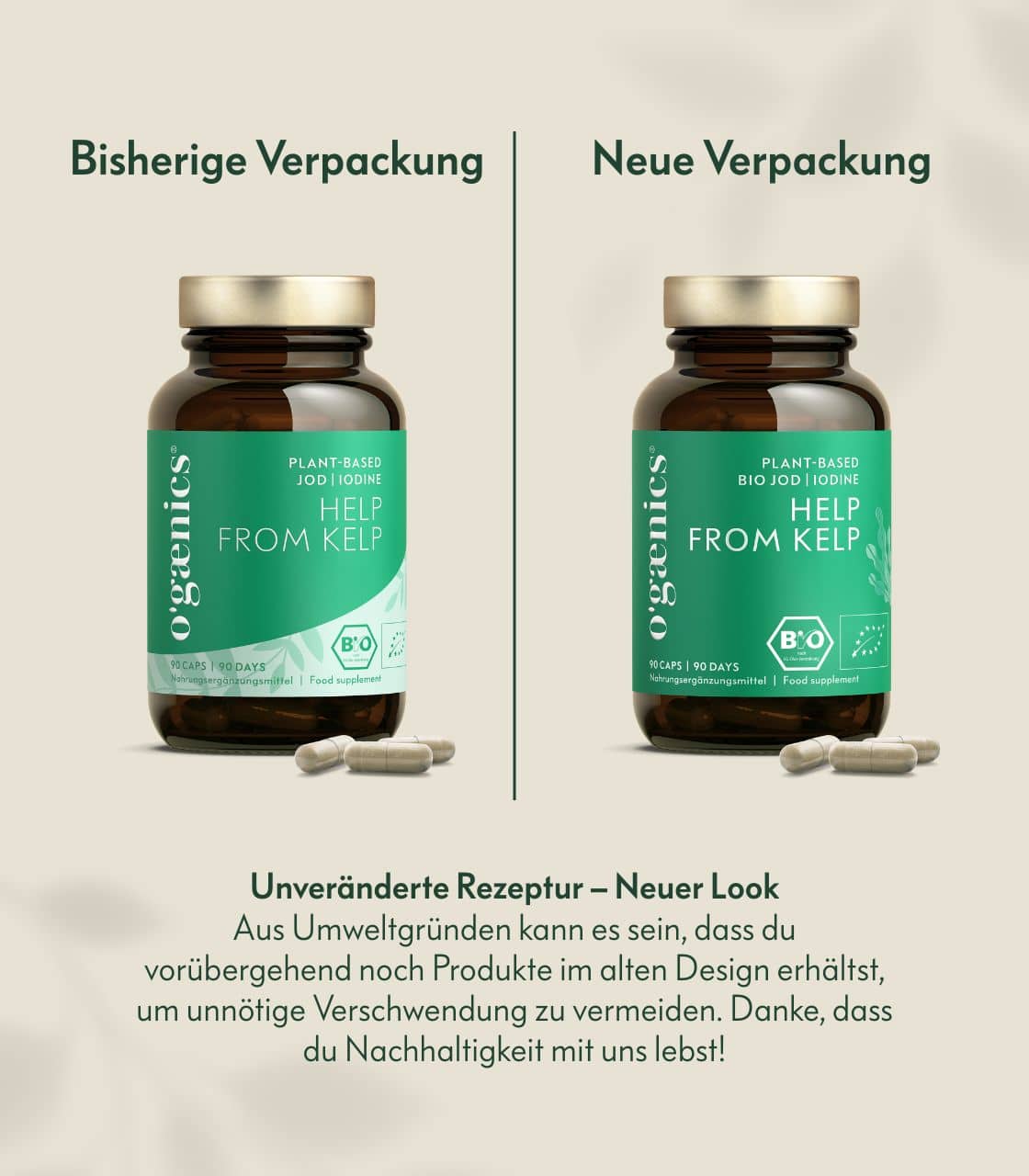 Help From Kelp – Bild 3