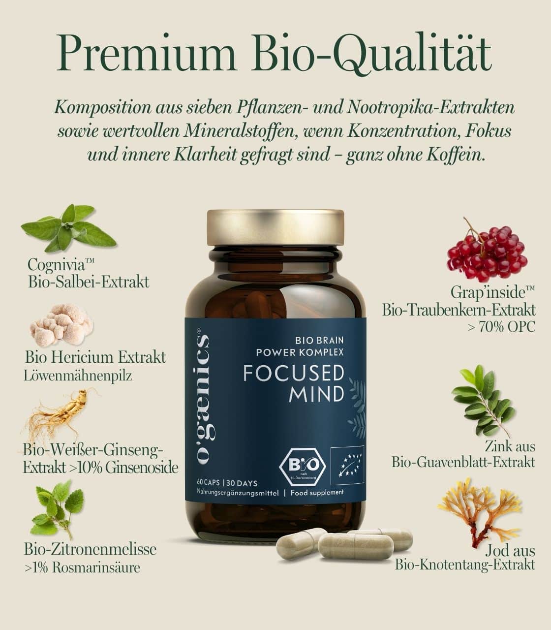 Set 2x Focused Mind – Bild 3