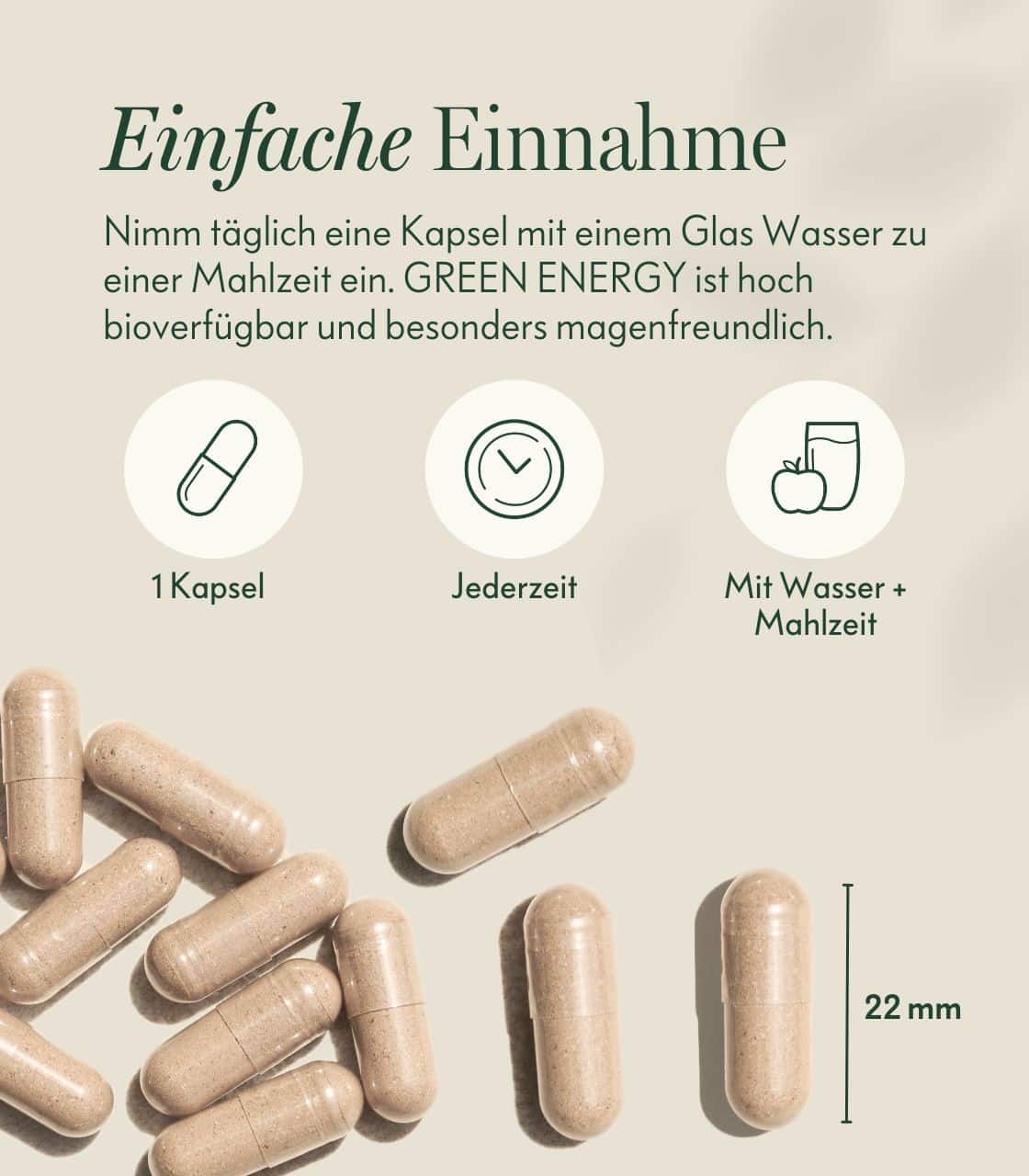 Set Vegan Starter – Bild 4