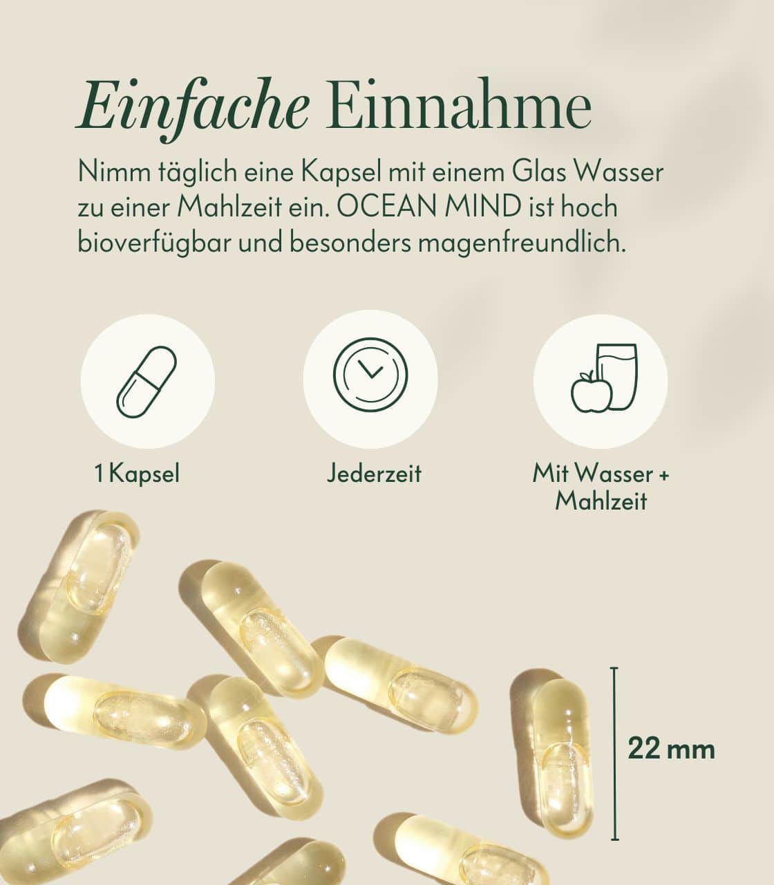 Set Vegan Starter – Bild 5