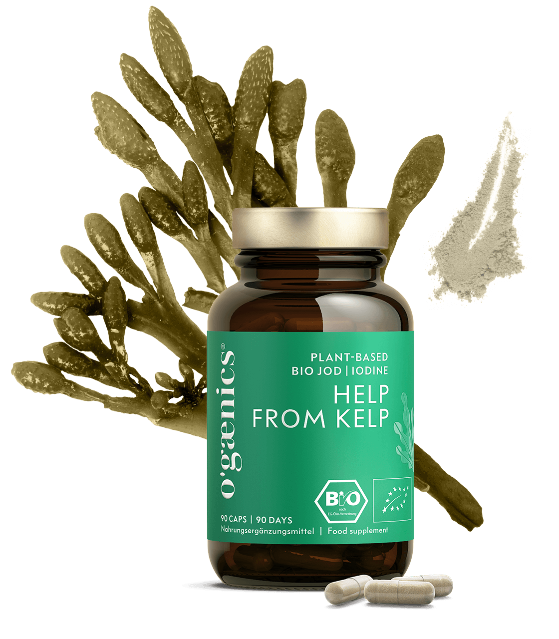 Help From Kelp – Bild 2
