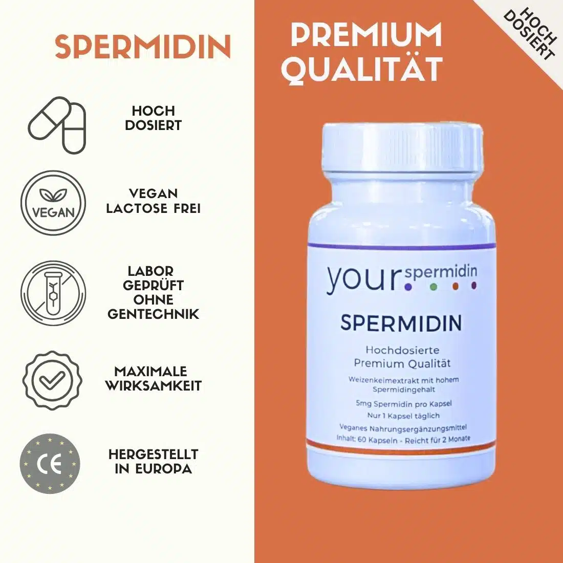 Spermidin – Premium Qualität, 5mg hochdosiert, 2 Monatspackung, 60 Kapseln – Bild 5