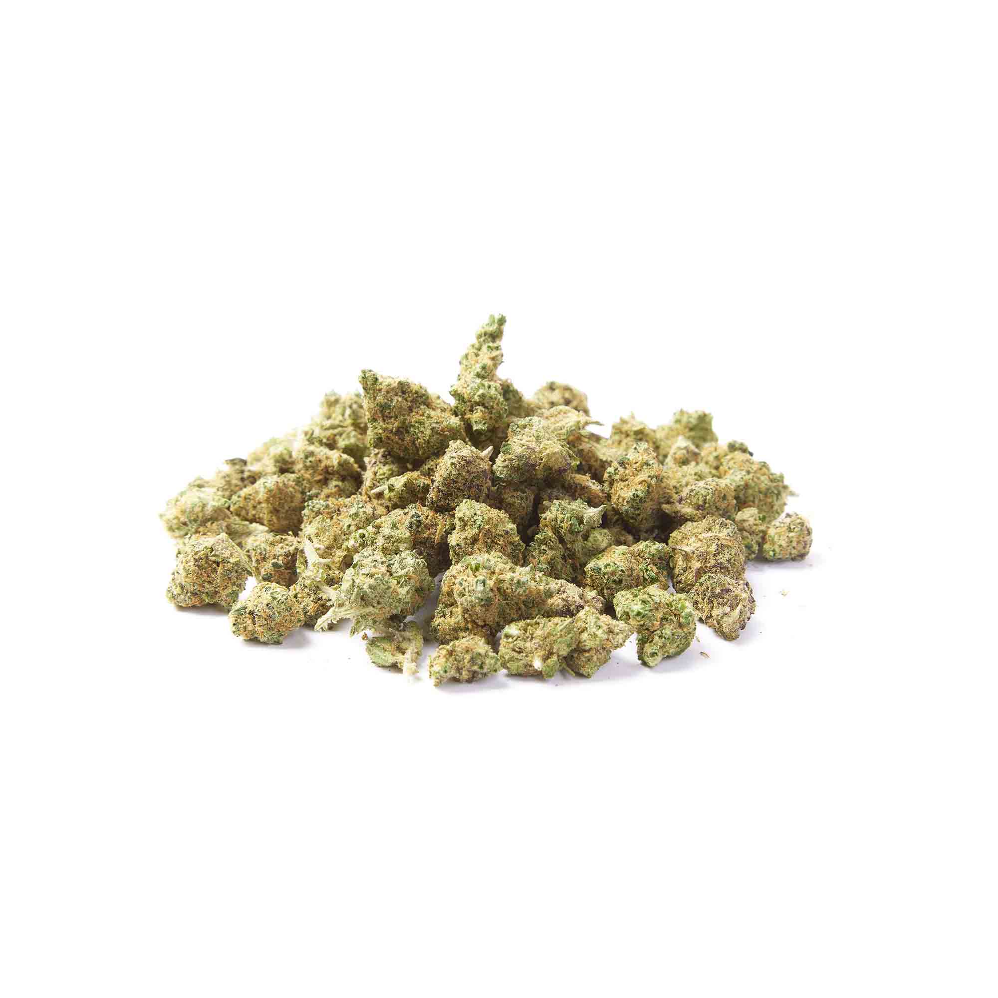 Blueberry Muffin Indoor Mini Buds Grossgebinde – Bild 3