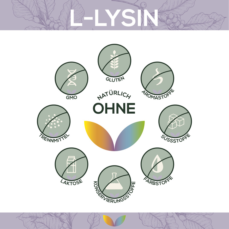 L-Lysin Pulver – Bild 4