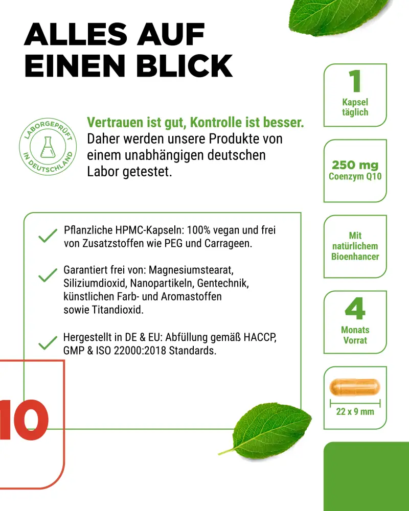 Vit4ever Coenzym Q10 – 120 Kapseln – Bild 4