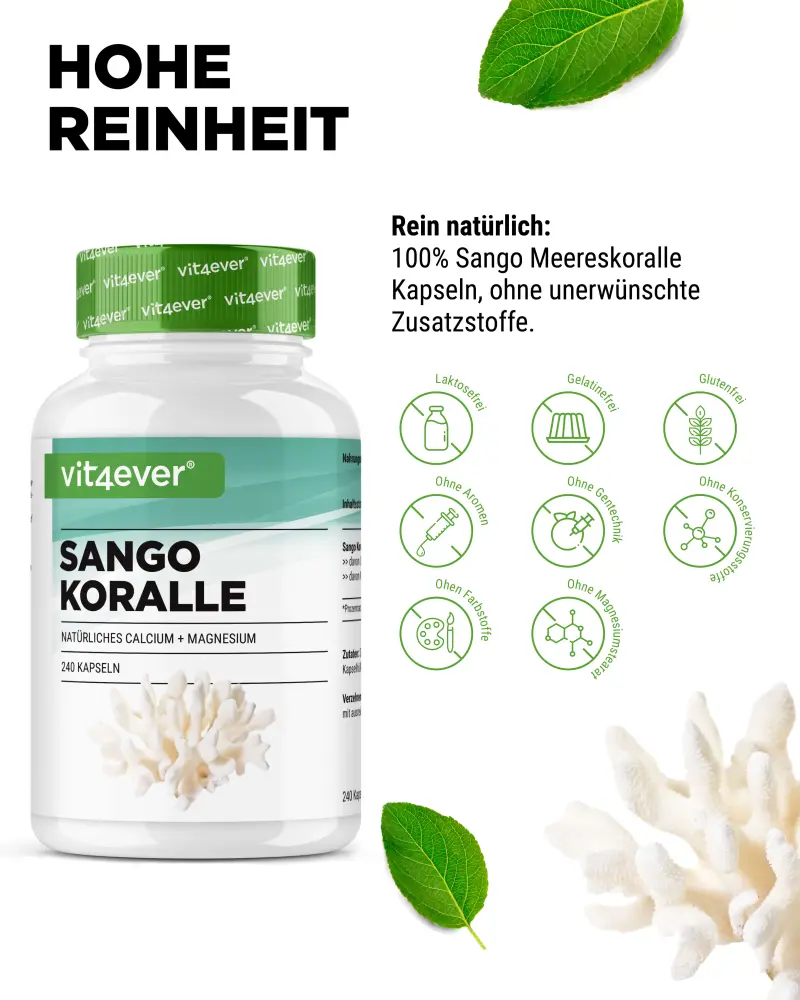 Vit4ever Sango Meereskoralle – 240 Kapseln – Bild 5