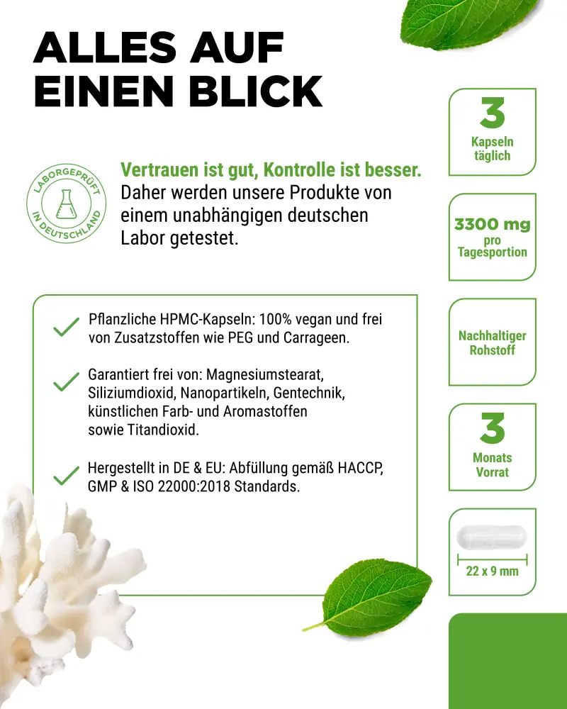 Vit4ever Sango Meereskoralle – 240 Kapseln – Bild 6
