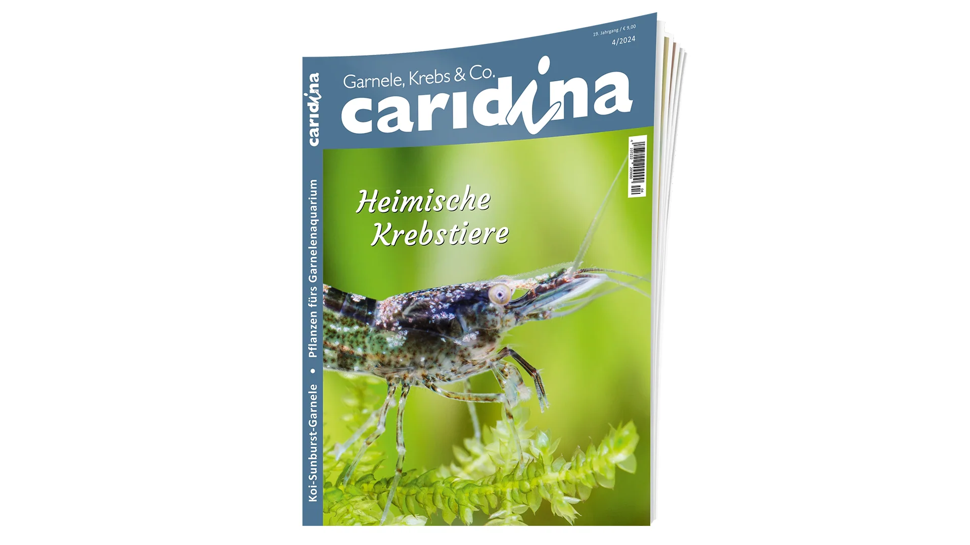 caridina 2024/4 | Zeitschrift – Bild 2