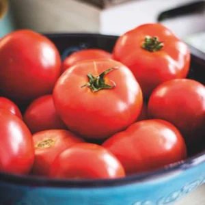 Tomate Solanum 'Moneymaker' 10 m² - Gemüsesamen
