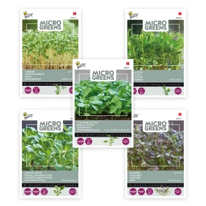 Sprossengemüsepaket 'Spezielle Salate' 6 m² - Gemüsesamen, Kräutersamen