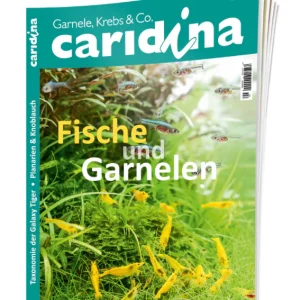 caridina 2/2024 | Zeitschrift